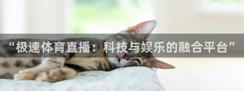 360体育直播无插件高清绿色直播：“极速体育直播：科技与娱乐的融合平台”