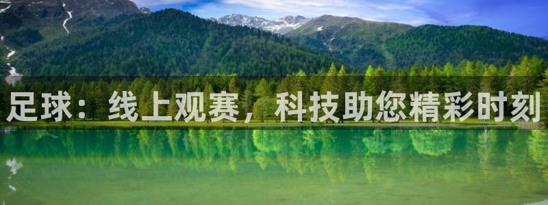 360体育直播雨燕直播在线观看：足球：线上观赛，科技助您精彩时刻