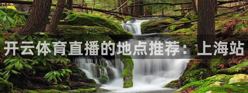 360雨燕体育直播：开云体育直播的地点推荐：上海站