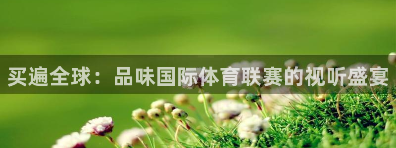 360直播足球直播雨燕足球直播：买遍全球：品味国际体育联赛的视听盛宴