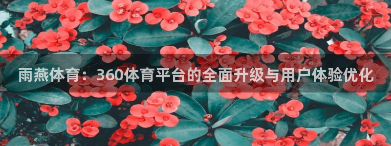 360体育直播无插件高清24：雨燕体育：360体育平台的全面升级与用户体验优化