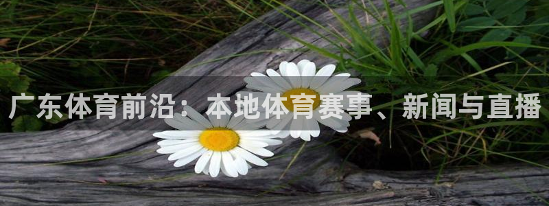 雨燕360免费体育直播：广东体育前沿：本地体育赛事、新闻与直播
